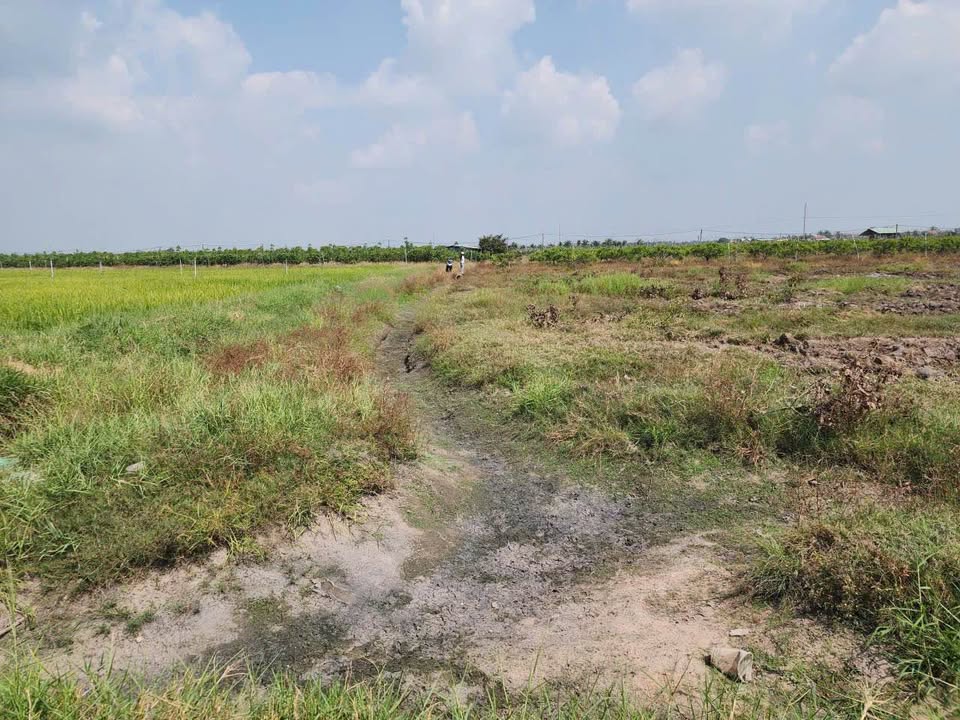 Đất thổ cư 150m² phường Ninh Sơn, Tây Ninh - Giá chỉ 200 triệu