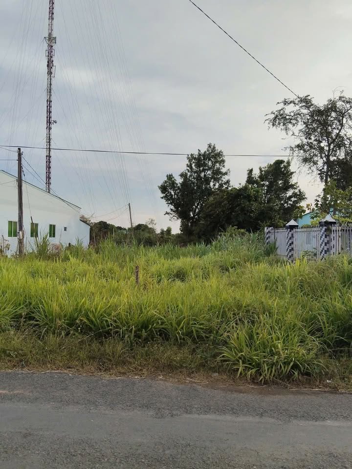 Đất nền 550m² gần trạm y tế Hiệp Thạnh, Duyên Hải - Cơ hội đầu tư tuyệt vời!