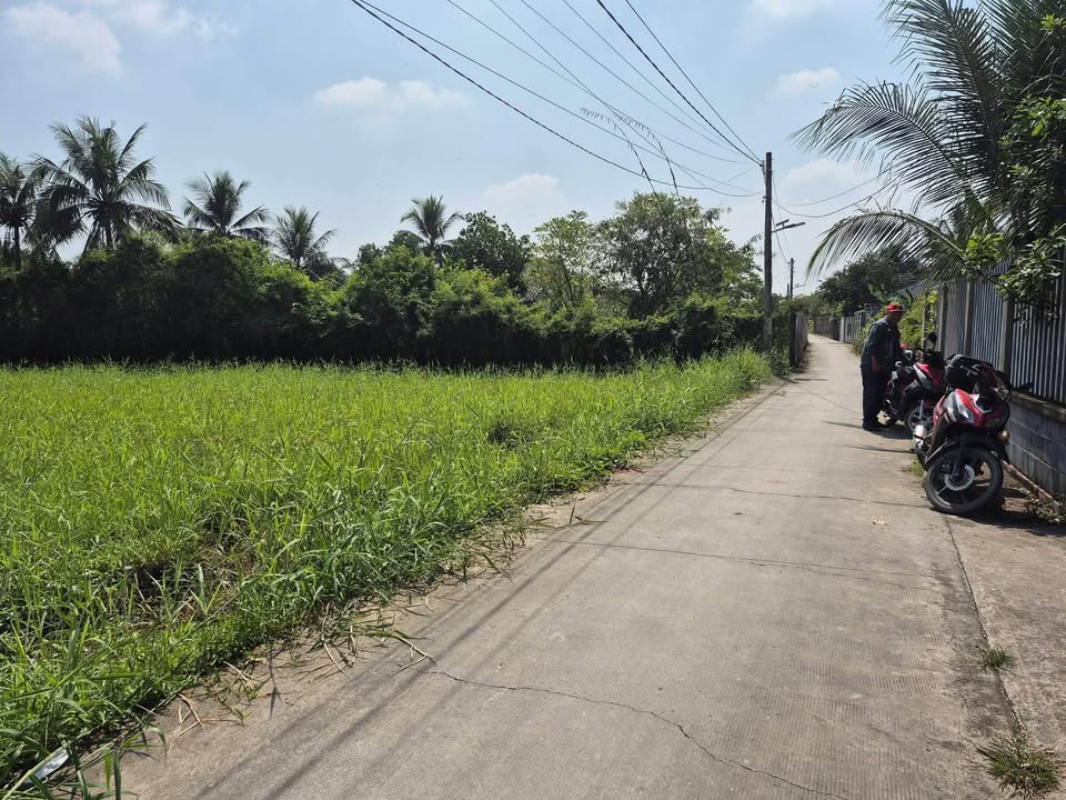 Đất Farm HCC Mỹ Lệ 1.090m² chỉ 1.95 tỷ - Cơ hội đầu tư không thể bỏ qua!