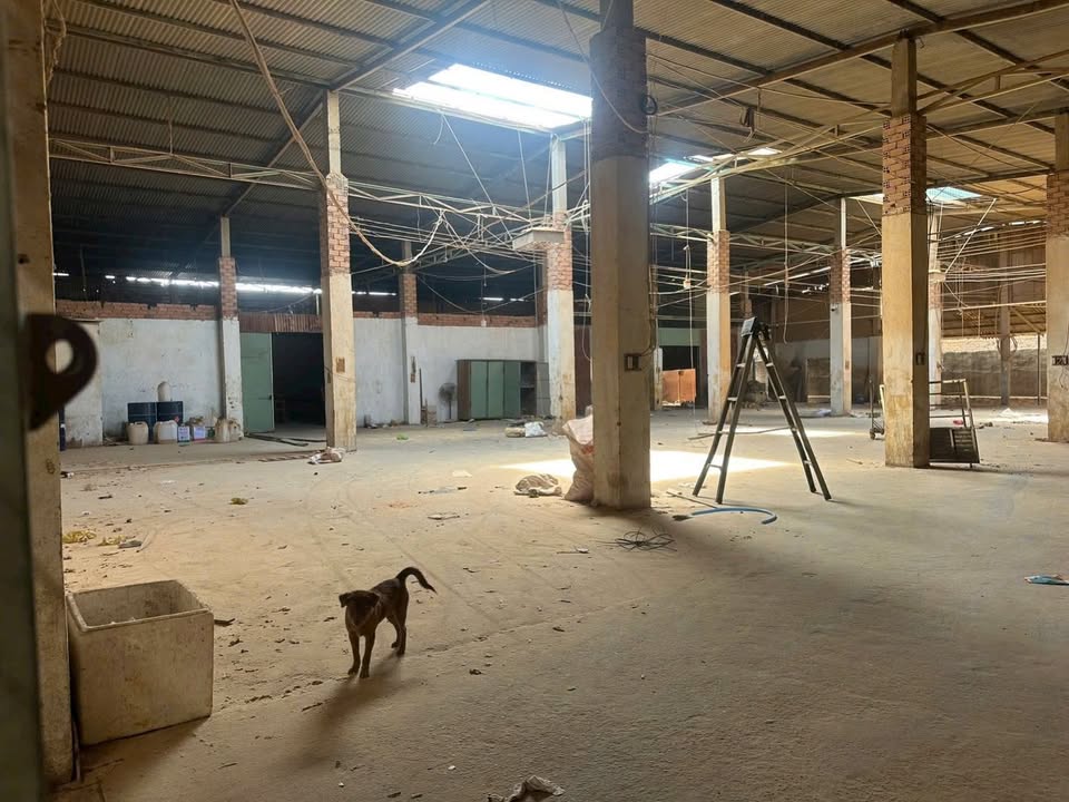 Nhà xưởng cho thuê tại KP8, P. Long Bình, 1000m² - Giá chỉ 25 triệu/tháng!