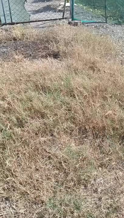 Đất nền Hóc Môn 2000m² giá 6 tỷ - Mặt tiền kênh T1, vị trí đắc địa!