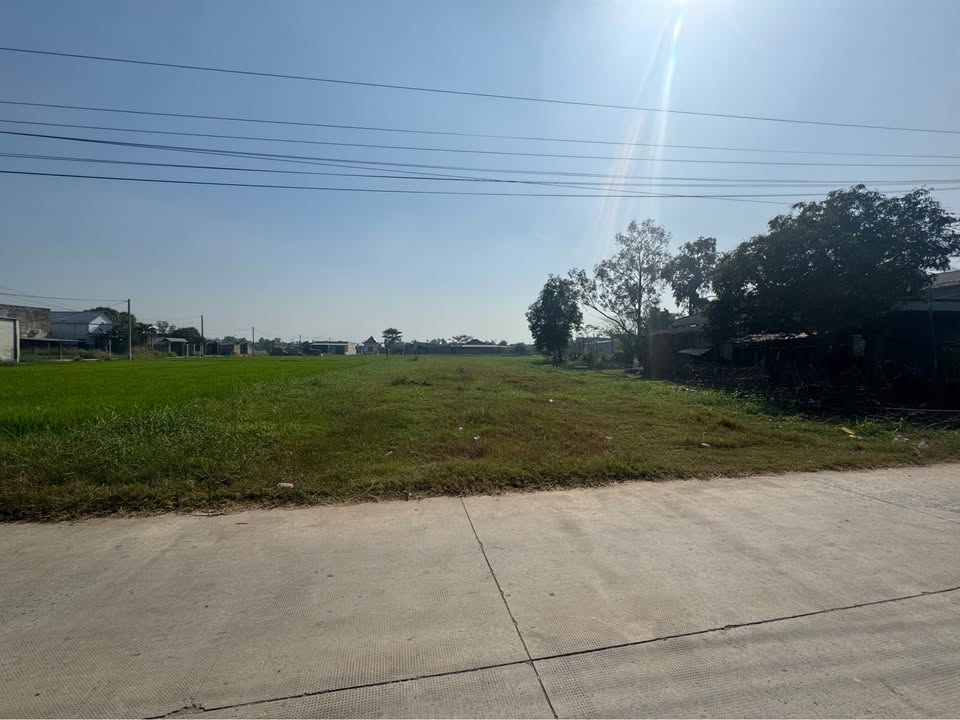 FrontHouse ấp Bình Hữu 2, Đức Hòa 750m² giá 5 tỷ - Đầu tư sinh lời ngay!