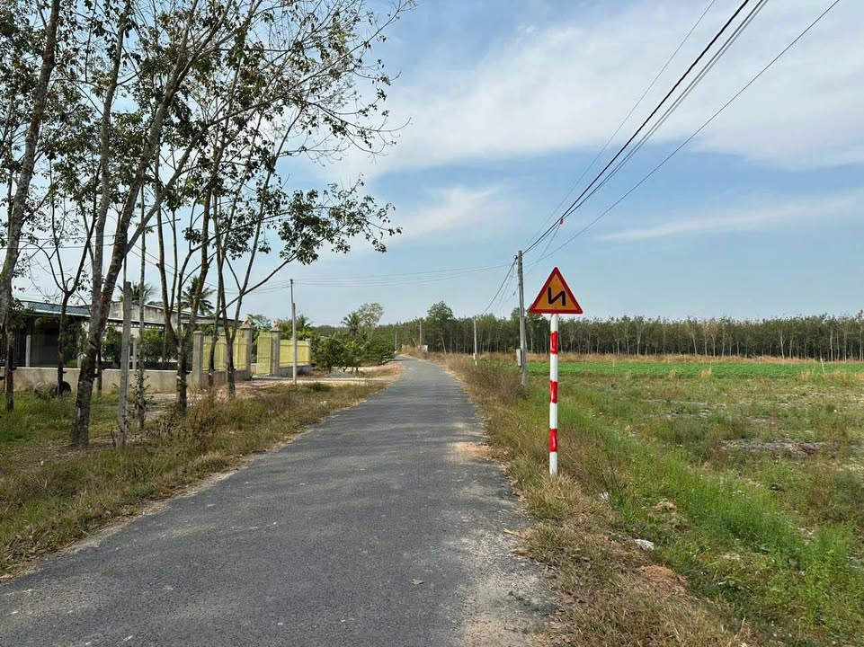 Đất nền 10,000m² tại Thạnh Tây, Tân Biên - Mặt tiền đường nhựa, giá thương lượng!