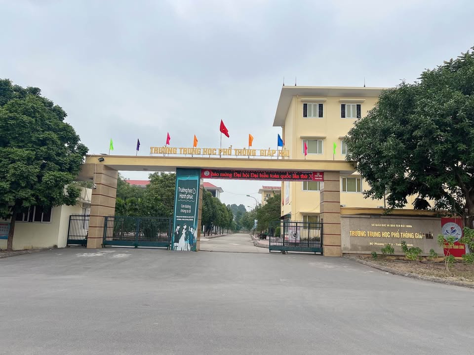 Đất nền đường Đào Tùng - Phường Đa Mai 100m² giá 3.9 tỷ - Cơ hội đầu tư hấp dẫn!