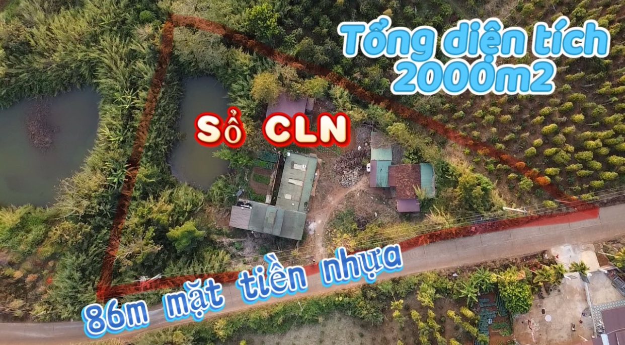 Đất nền mặt tiền Nhựa 2000m² xã Đức An, Lâm Đồng - Sổ hồng chính chủ, giá 1.3 tỷ!