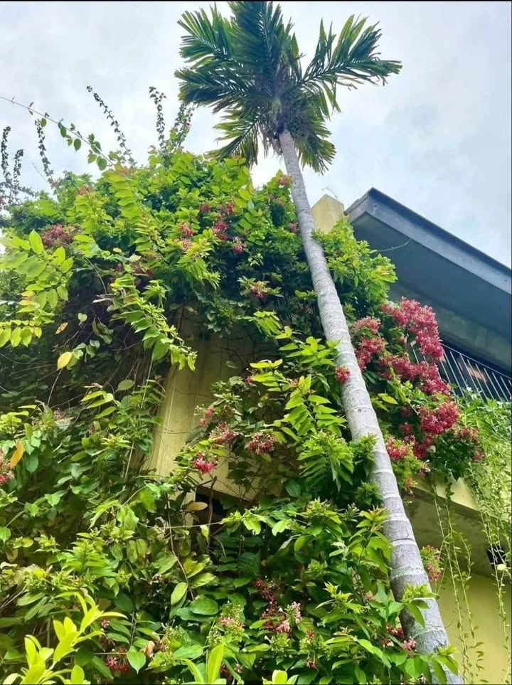 Biệt thự 3 phòng ngủ tại Casamia Calm Hội An - Giá 35 triệu/tháng - Không gian sống lý tưởng!