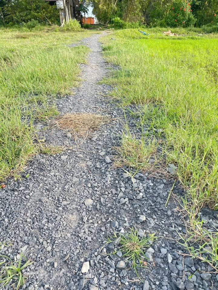 Đất nền Hòa Thạnh, Châu Thành, Tây Ninh 105m² giá 600 triệu - Đường ô tô vào tận nơi!