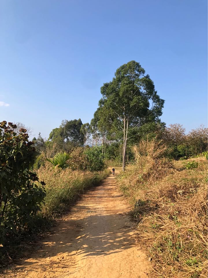 Đất nền 2ha tại Nam Đà, Đắk Nông giá chỉ 2.2 tỷ - Cơ hội đầu tư hiếm có!