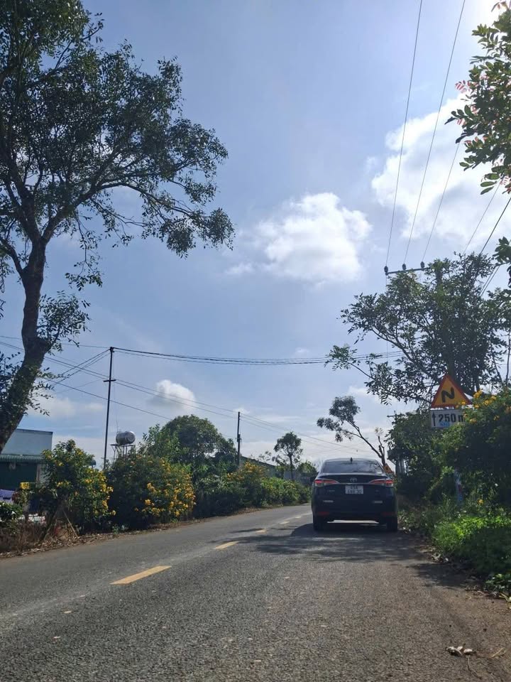 Đất nền mặt tiền nhựa Tân Thành, Đức Trọng, 880m² giá 2.2 tỷ - Cơ hội đầu tư sinh lời!