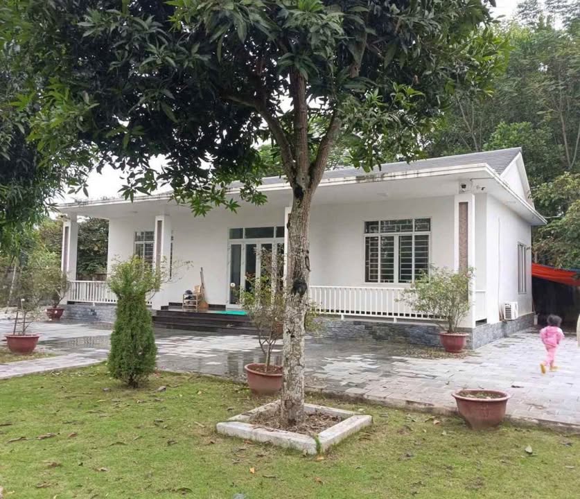 Đất Farm 7200m² tại Quận Tân Bình giá chỉ 304 triệu - Đầu tư sinh lời ngay!