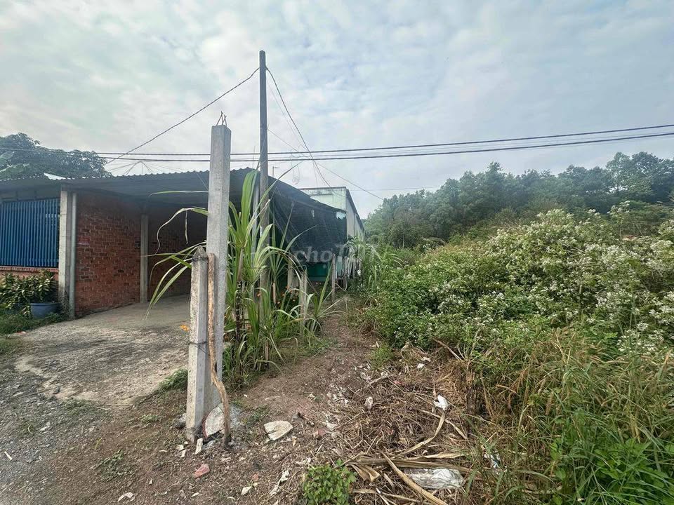 Đất nền Phú Hòa Đông, Củ Chi 200m² giá 1.75 tỷ - Sổ hồng chính chủ!