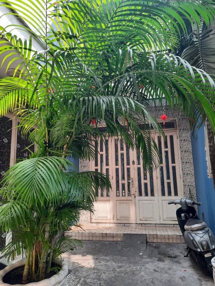 Nhà riêng Phường 6, Quận Tân Bình 54m² giá 4.8 tỷ - Phù hợp gia đình đông thành viên!