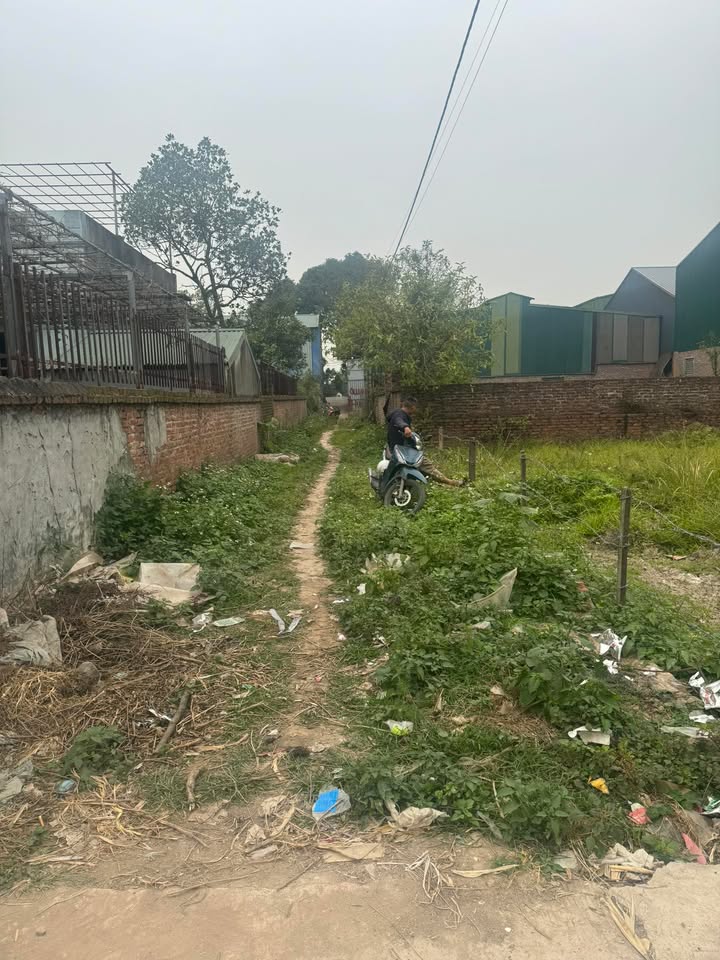 Đất nền Hồng Hạc City Bắc Ninh 146m² giá 4.38 tỷ - Cơ hội đầu tư hấp dẫn!