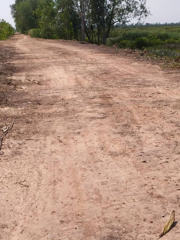 Đất nông nghiệp 1ha tại xã Tân Phước 2, giá 2.5 tỷ - Cơ hội đầu tư hấp dẫn!