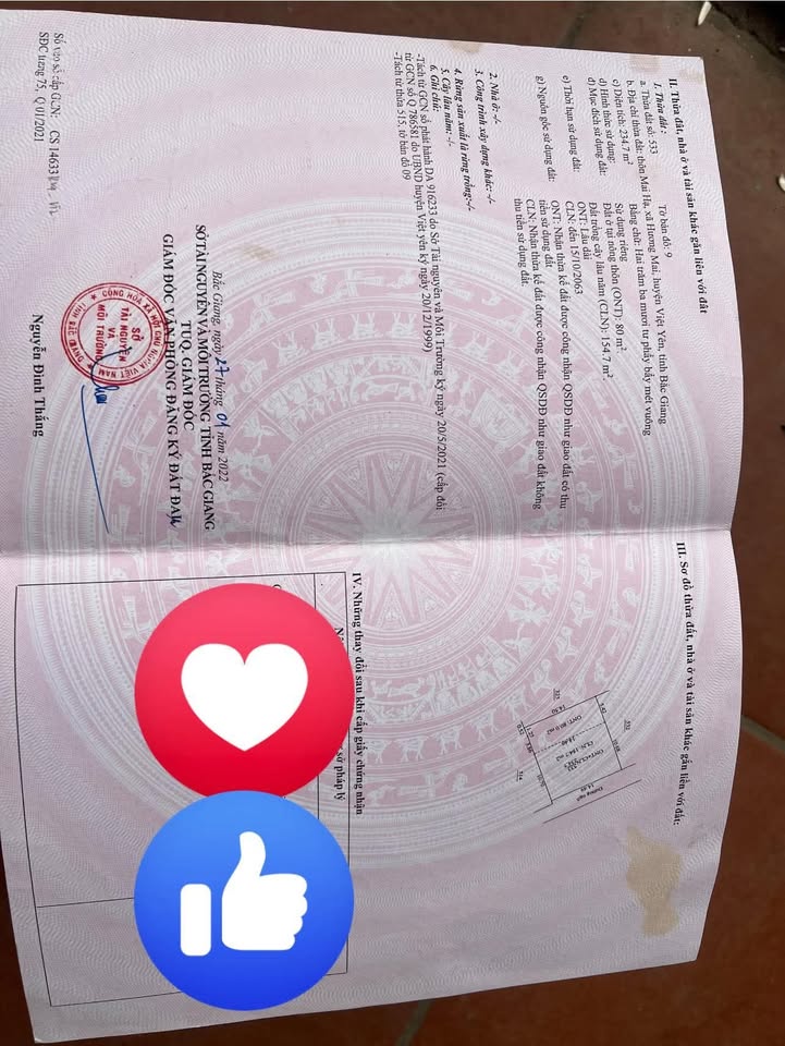 Đất nền chính chủ tại Tổ dân phố Mai Hạ, Phường Tự Lạn, 234m² giá 1 tỷ - Đường ô tô vào tận đất!