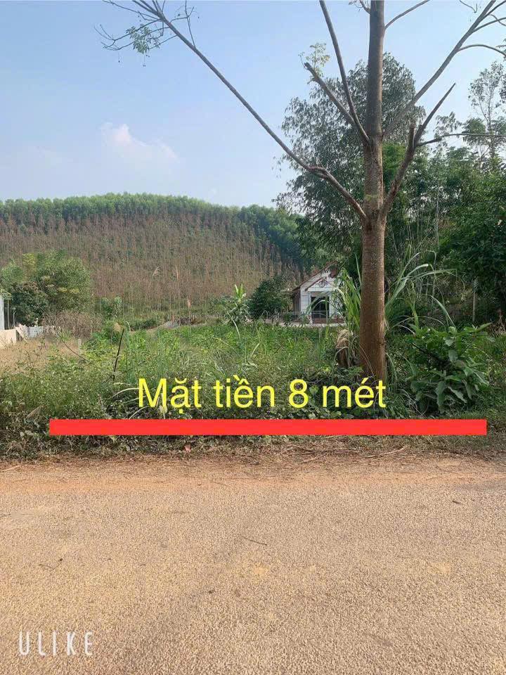 Đất nền liên xã Xuân Lương, Yên Thế, 400m² giá chỉ 599 triệu - Đầu tư sinh lời cao!