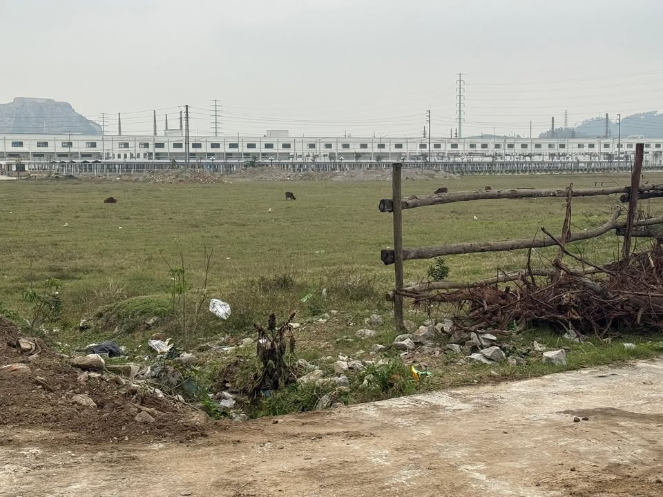 Đất nền KCN Hoàng Mai 1, 120m² giá 1 tỷ - Thích hợp kinh doanh nhà trọ!