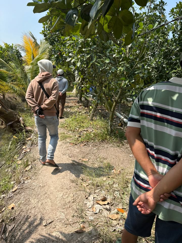 Farm đất vườn 2000m² Mỹ Trinh, Cái Bè giá chỉ 2 tỷ - Đầu tư sinh lời ngay!