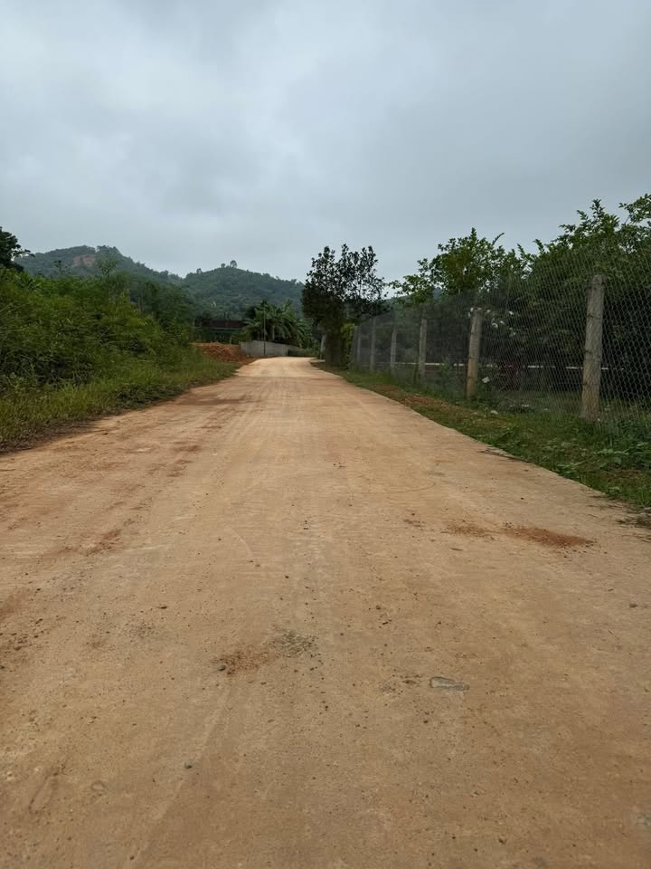 Đất thổ cư 800m² tại Thôn Thăng Bình, Thanh Hóa - Giá chỉ 5.6 tỷ, vị trí đắc địa!