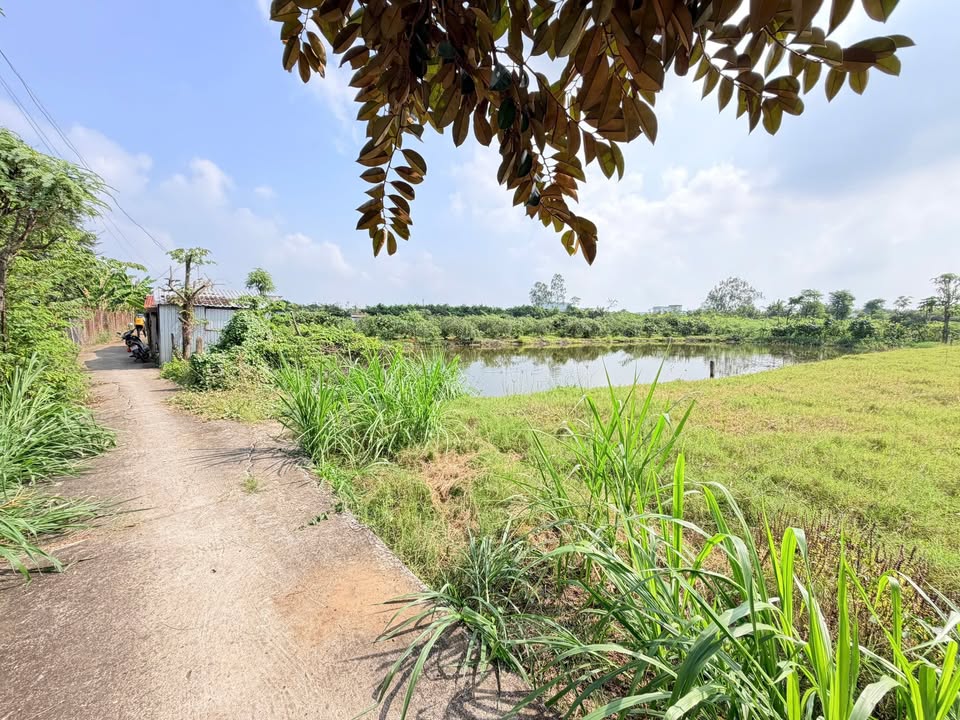 Đất vườn Phường Gò Công, 2575m² giá 2.83 tỷ - Cơ hội đầu tư tuyệt vời!