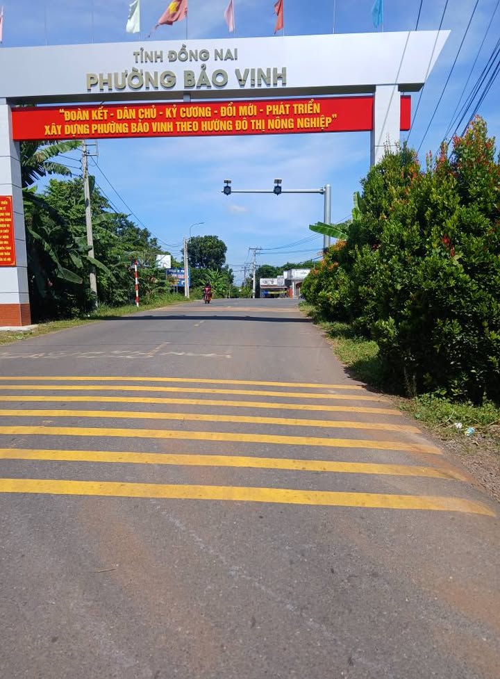 Đất nền 200m² tại Chợ Bầu Cối, giá chỉ 980 triệu - Đầu tư sinh lời ngay!