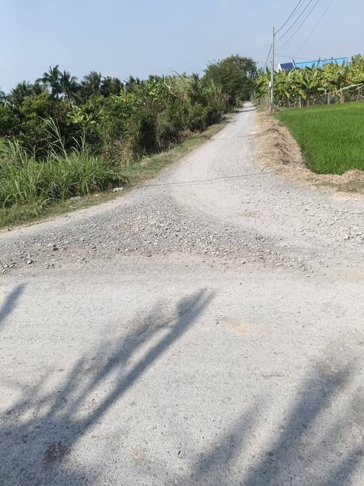 Farm 9500m² tại Ấp Đôi Ma, Gò Công Đông, Tiền Giang giá 3 tỷ - Kinh doanh hiệu quả!