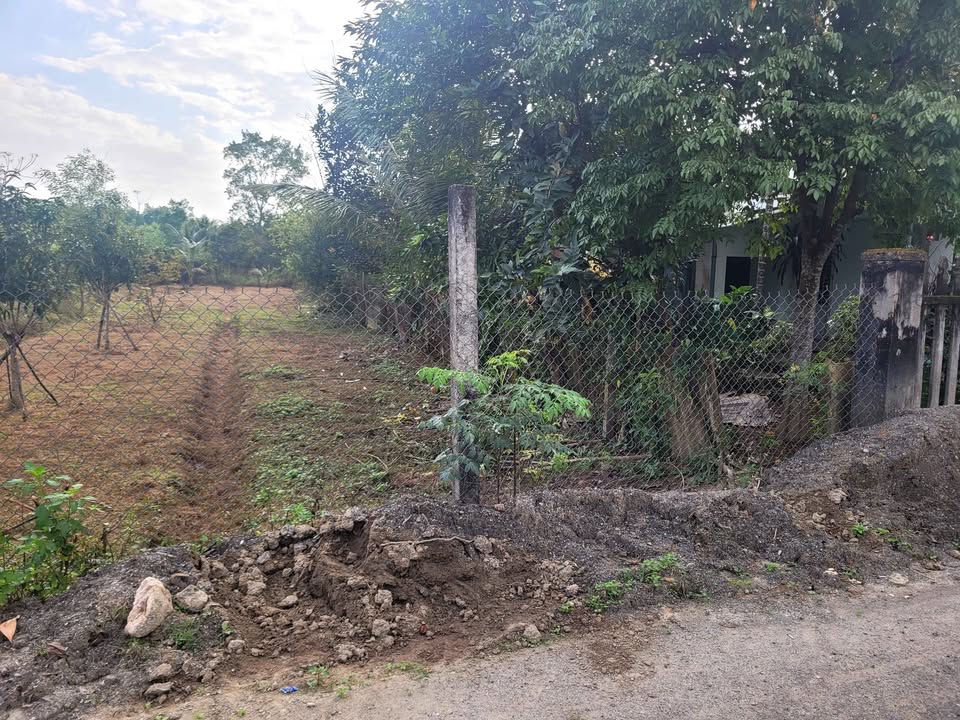 Đất vườn Hòa Vang Đà Nẵng 1.500m² giá 8.5 tỷ - Tiềm năng đầu tư lớn!