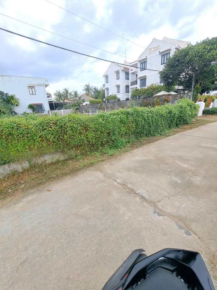 Đất nền liền kề Phường Tân An, Hội An 500m² giá chỉ 30 triệu/m² - Cơ hội đầu tư hấp dẫn!