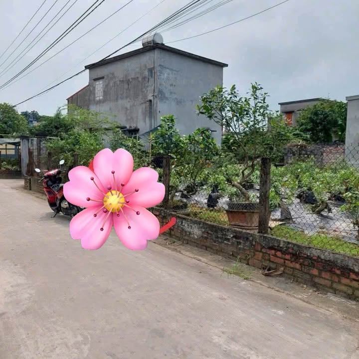 Đất thổ cư tại thôn Nam Long, xã Tự Tân, Vũ Thư 68.2m² - Chính chủ bán gấp!