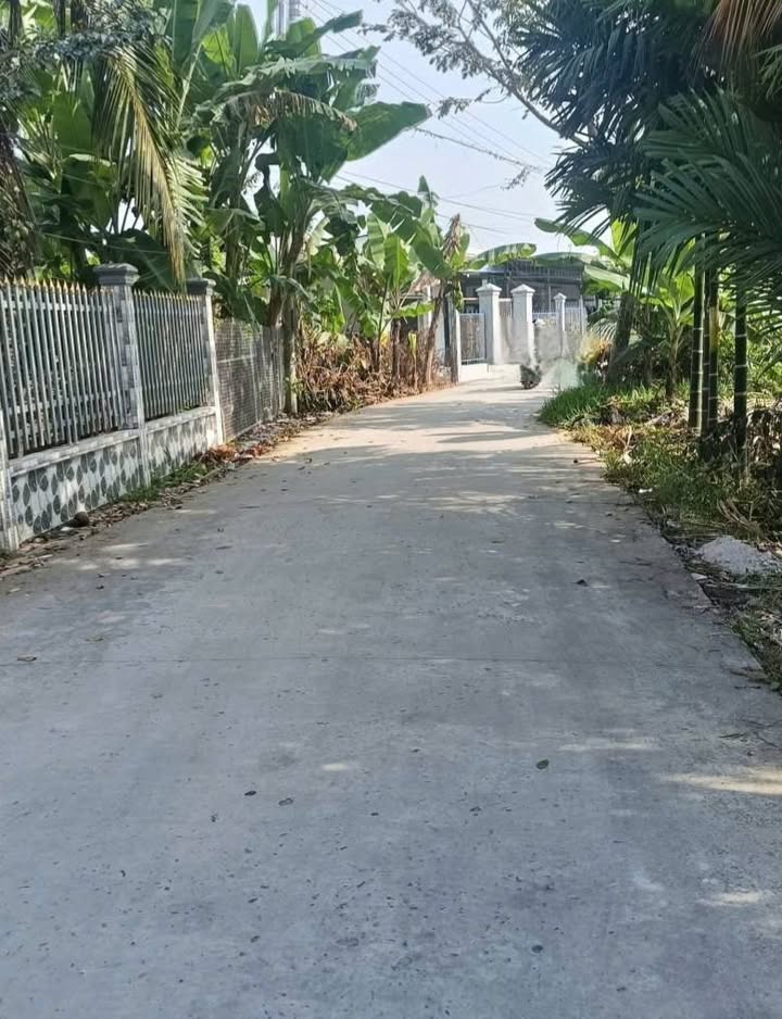 Đất nền Phước Thới, Quận Ô Môn, 58m² giá 299 triệu - Đầu tư sinh lời ngay!