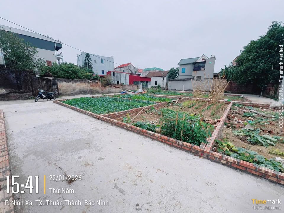 Đất nền Phường Ninh Xá 50m² giá chỉ 1.35 tỷ - Cơ hội đầu tư hấp dẫn!