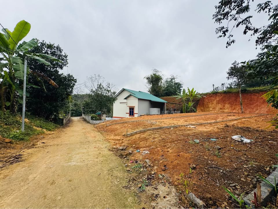 Đất thổ cư 206.7m² gần trung tâm Huyện Thanh Sơn chỉ 300 triệu - Cơ hội đầu tư tuyệt vời!