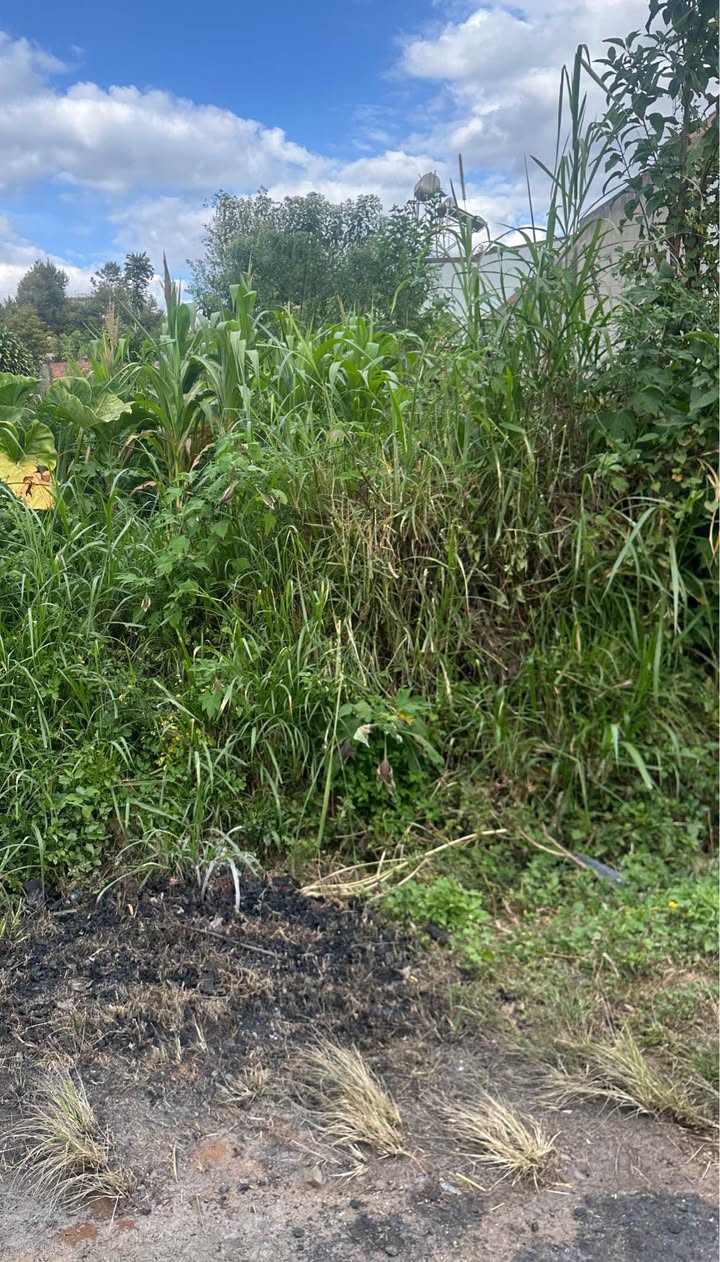 Đất thổ cư Di Linh 125m² giá 2.56 tỷ - Vị trí đắc địa ngay trung tâm!