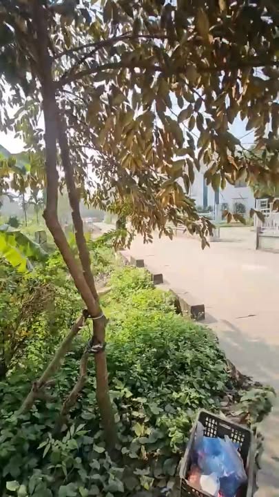 Đất nền 1200m² tại xã Liên Ninh, huyện Thanh Trì - Sổ đỏ chính chủ, giá 6.6 tỷ!