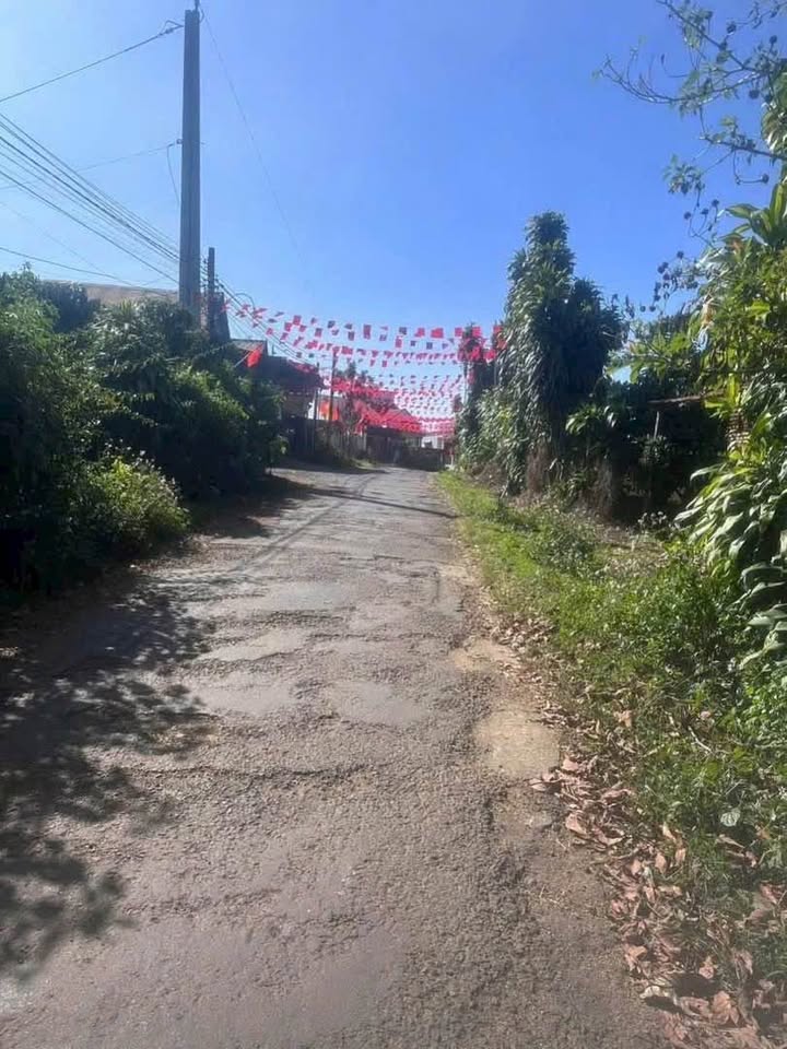 Đất nền tại Thôn 5 Lộc An 147m² giá 550 triệu - Mặt tiền chính thuận lợi!