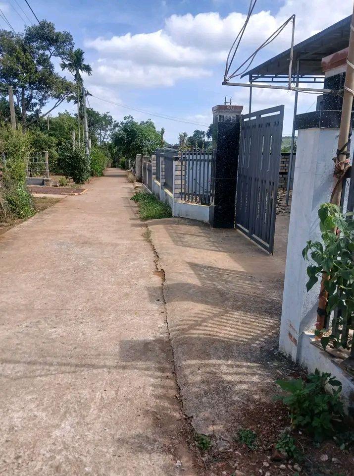 Đất nền Đức Mạnh 288m² giá chỉ 870 triệu - Cơ hội vàng trước Tết!