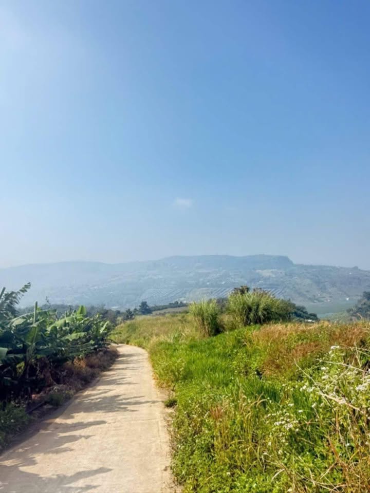 Đất dự án Liên Hà 3ha giá 8 tỷ - Cơ hội đầu tư không thể bỏ qua!