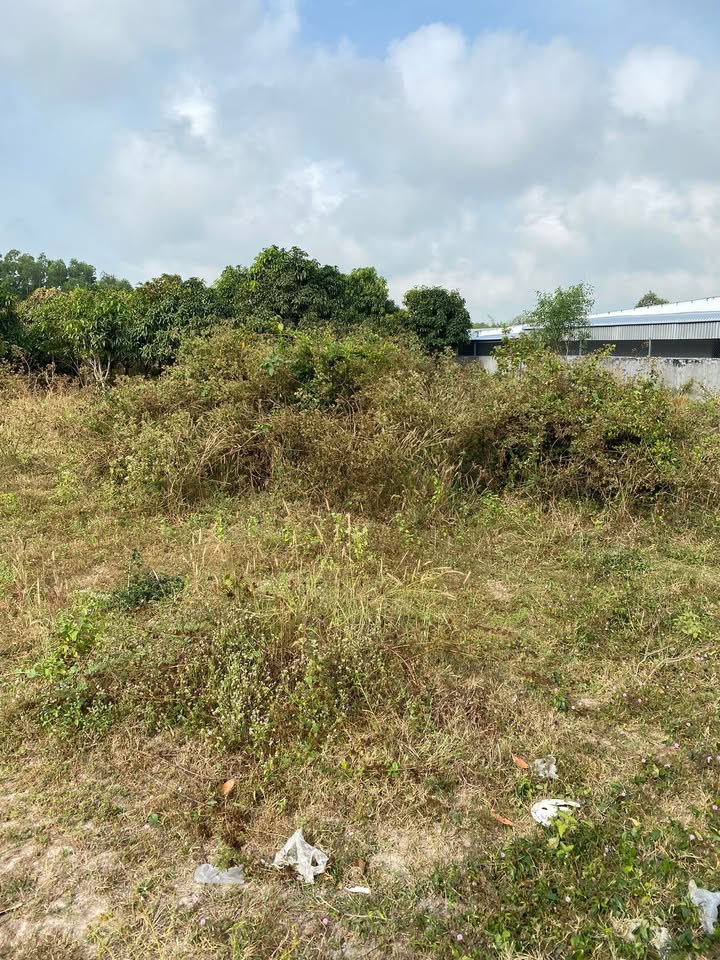 Đất thổ cư 249m² tại Tịnh Biên, An Giang - Gần chùa Kim Tiên chỉ 100m!