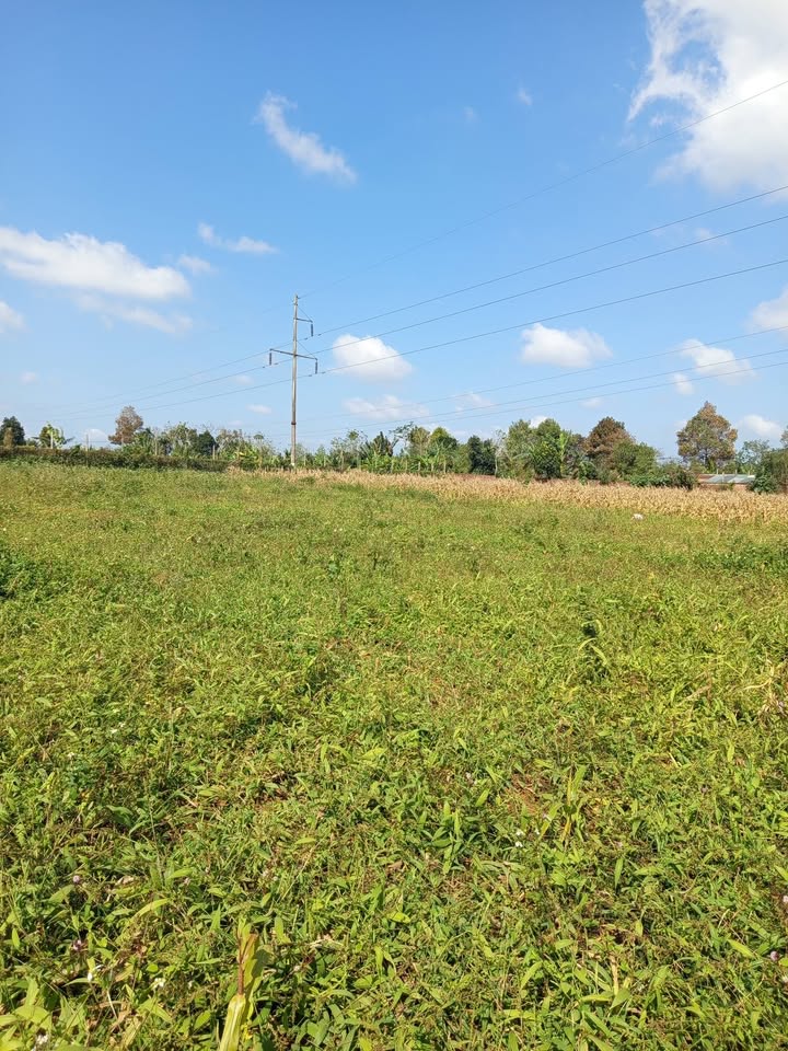 Đất nông nghiệp 7,3 sào tại Ea Kar - Đầu tư sinh lời lớn!