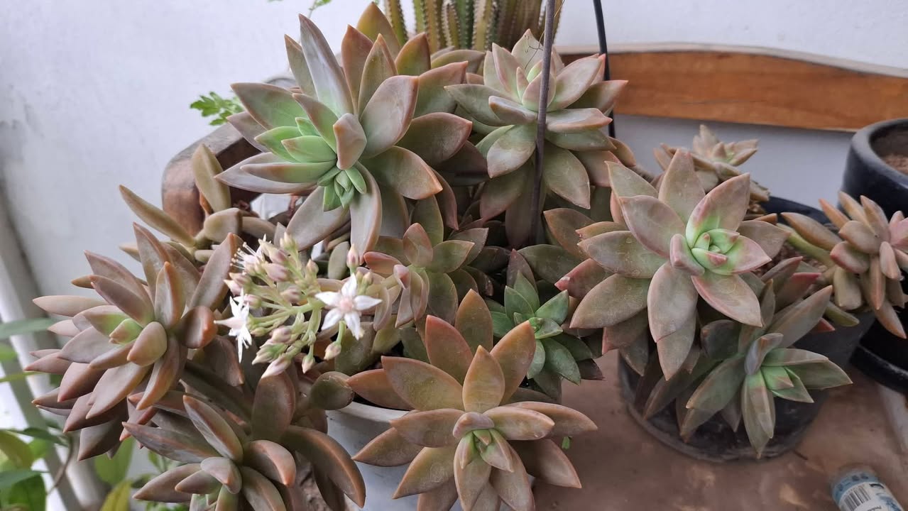 Căn hộ chung cư Pháp Vân 63m² giá 4.3 tỷ - Giao dịch nhanh chóng!