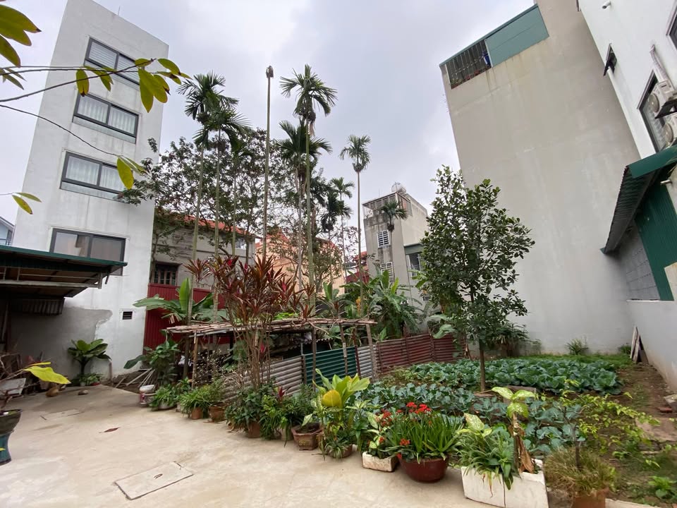 Đất nền Phường Việt Hưng 47,2m² giá 5,25 tỷ - Vị trí đẹp, tiện lợi!