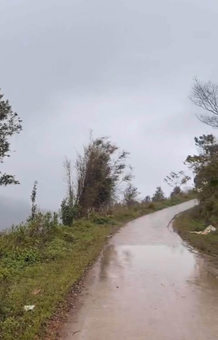 Đất nền Măng Đen, 1000m² giá thỏa thuận - Đầu tư sinh lời tiềm năng!