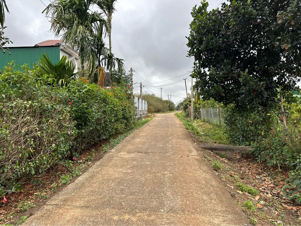 Đất nền 350m² tại Xã Ea Đar, Huyện Ea Kar - Giá 42 tỷ VND - Đầu tư sinh lời ngay!