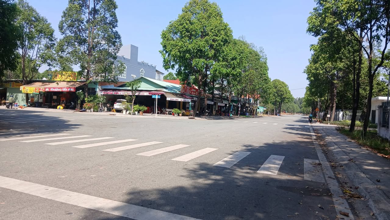 Đất nền Bến Cát 300m² giá 5 tỷ - Vị trí đắc địa gần Đại học Việt Đức!