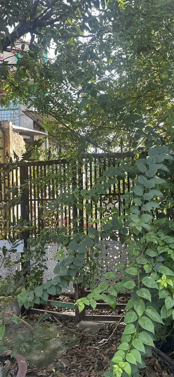 Đất sổ đỏ 141m² tại Ấp 6A, Xã Vĩnh Lộc B giá 1.8 tỷ - Đường betong thông thoáng!