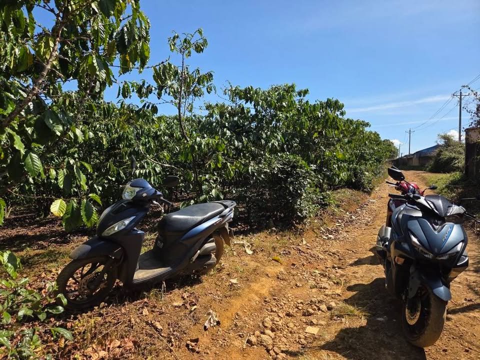 Đất nền tại xã Lộc Quảng, huyện Bảo Lâm, 3.060m² giá chỉ 5.525 tỷ - Cơ hội đầu tư không thể bỏ qua!