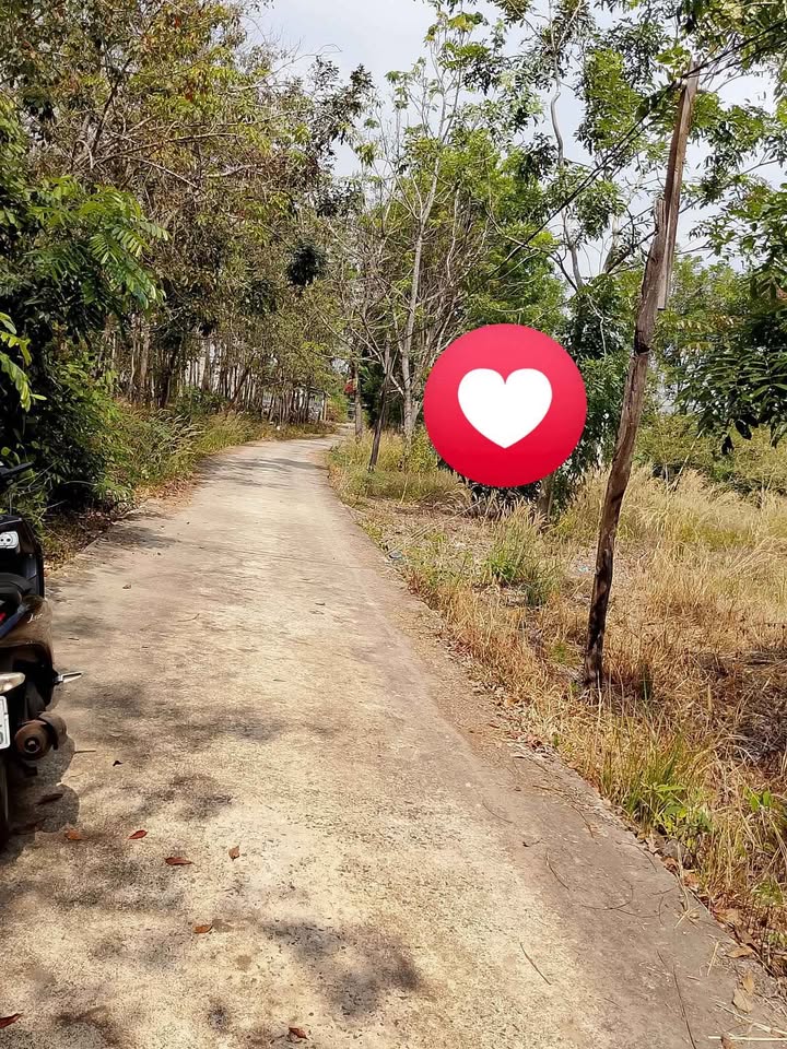 Đất nền 500m² tại Ấp 1, Xã Lộc Hưng, Huyện Lộc Ninh - Giá chỉ 3xx triệu!