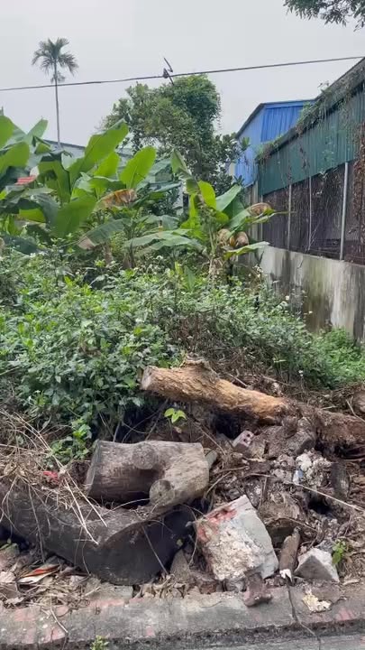 Đất nền Kim Tân 117.5m² giá chỉ 1 tỷ - Ô tô vào tận sân!