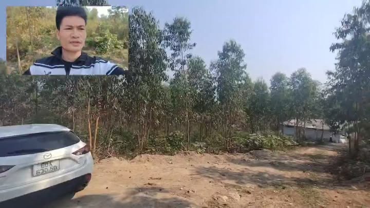 Đất Farm 3ha Yên Dương, Tam Đảo chỉ 16.2 tỷ - Cơ hội đầu tư tuyệt vời!