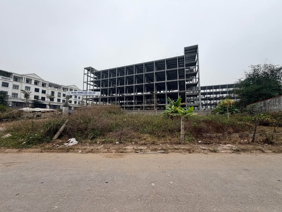 Đất Khu 4 Vĩnh Niệm 100m² giá 7.7 tỷ - Cơ hội đầu tư không thể bỏ lỡ!